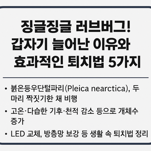 징글징글 러브버그! 갑자기 늘어난 이유와 효과적인 퇴치법 5가지